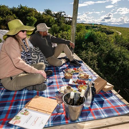 Garden Route Game Lodge Albertinia Esterno foto