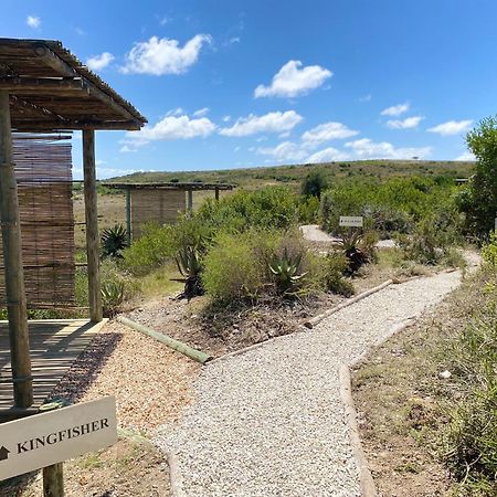 Garden Route Game Lodge Albertinia Esterno foto
