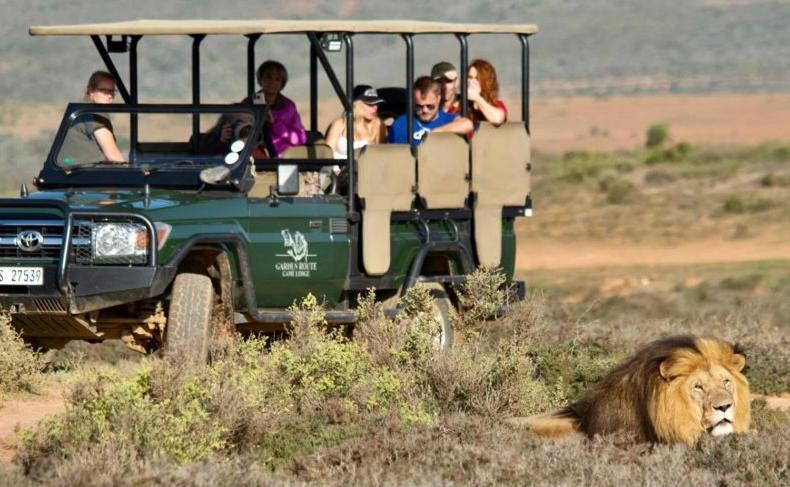 Garden Route Game Lodge Albertinia Esterno foto