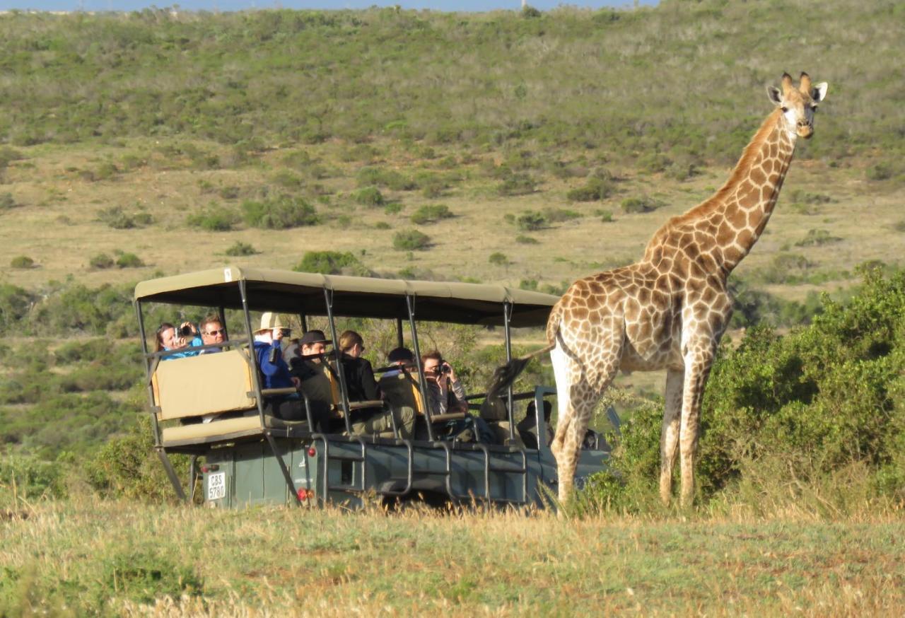 Garden Route Game Lodge Albertinia Esterno foto