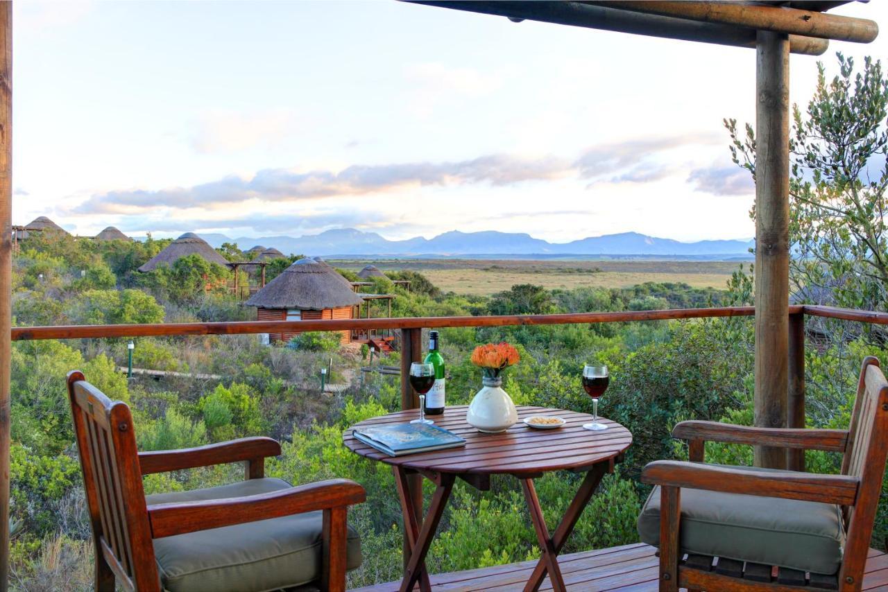 Garden Route Game Lodge Albertinia Esterno foto