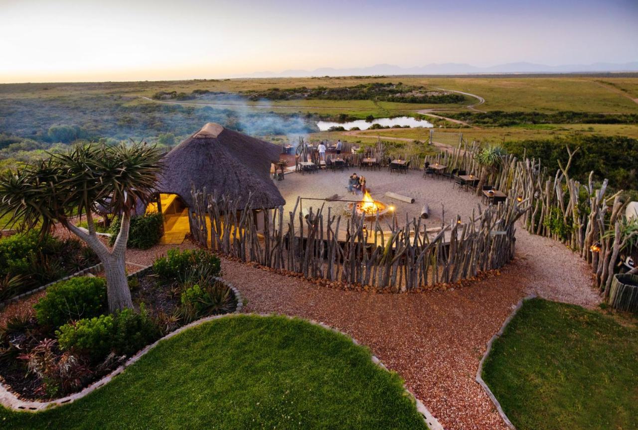 Garden Route Game Lodge Albertinia Esterno foto
