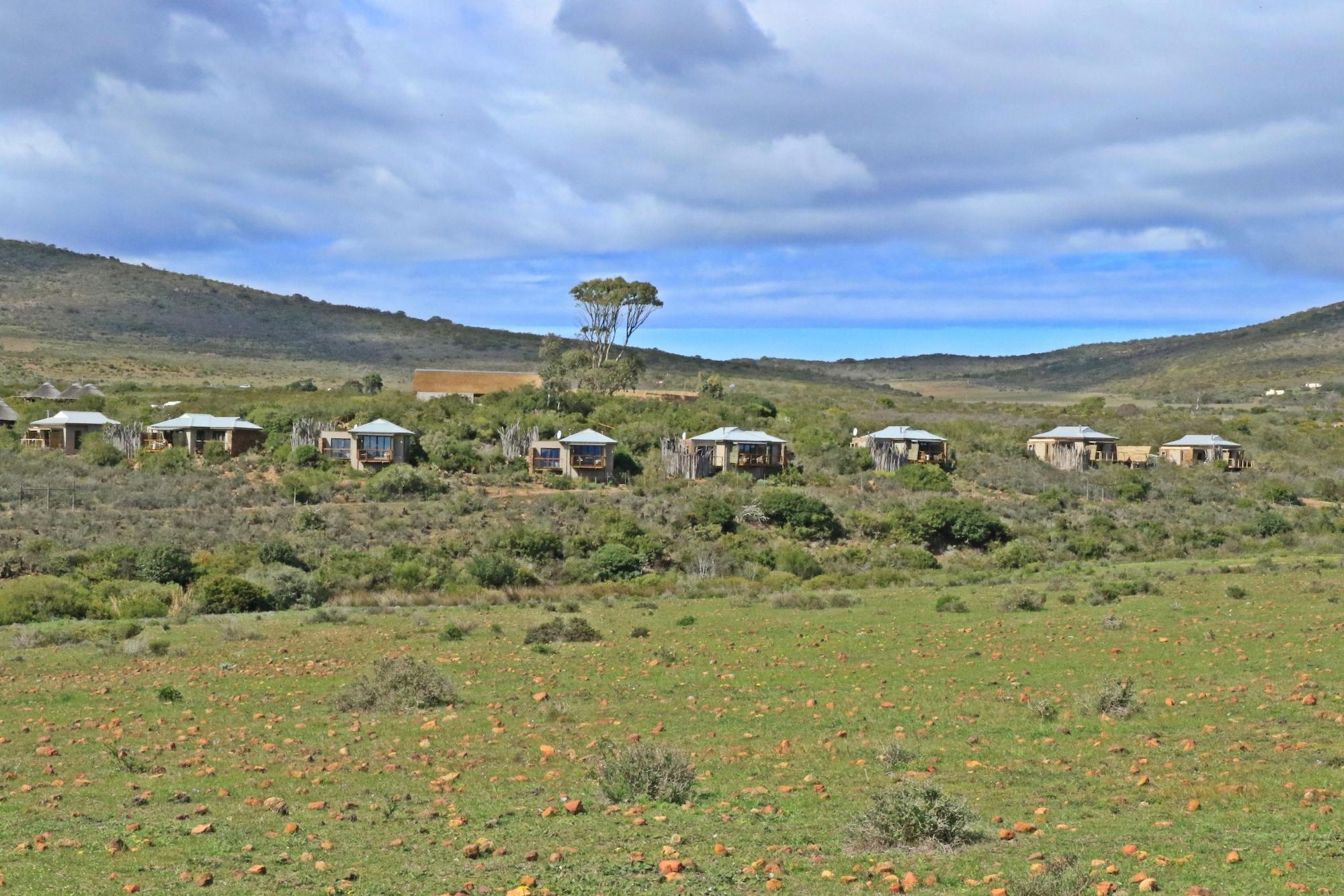 Garden Route Game Lodge Albertinia Esterno foto