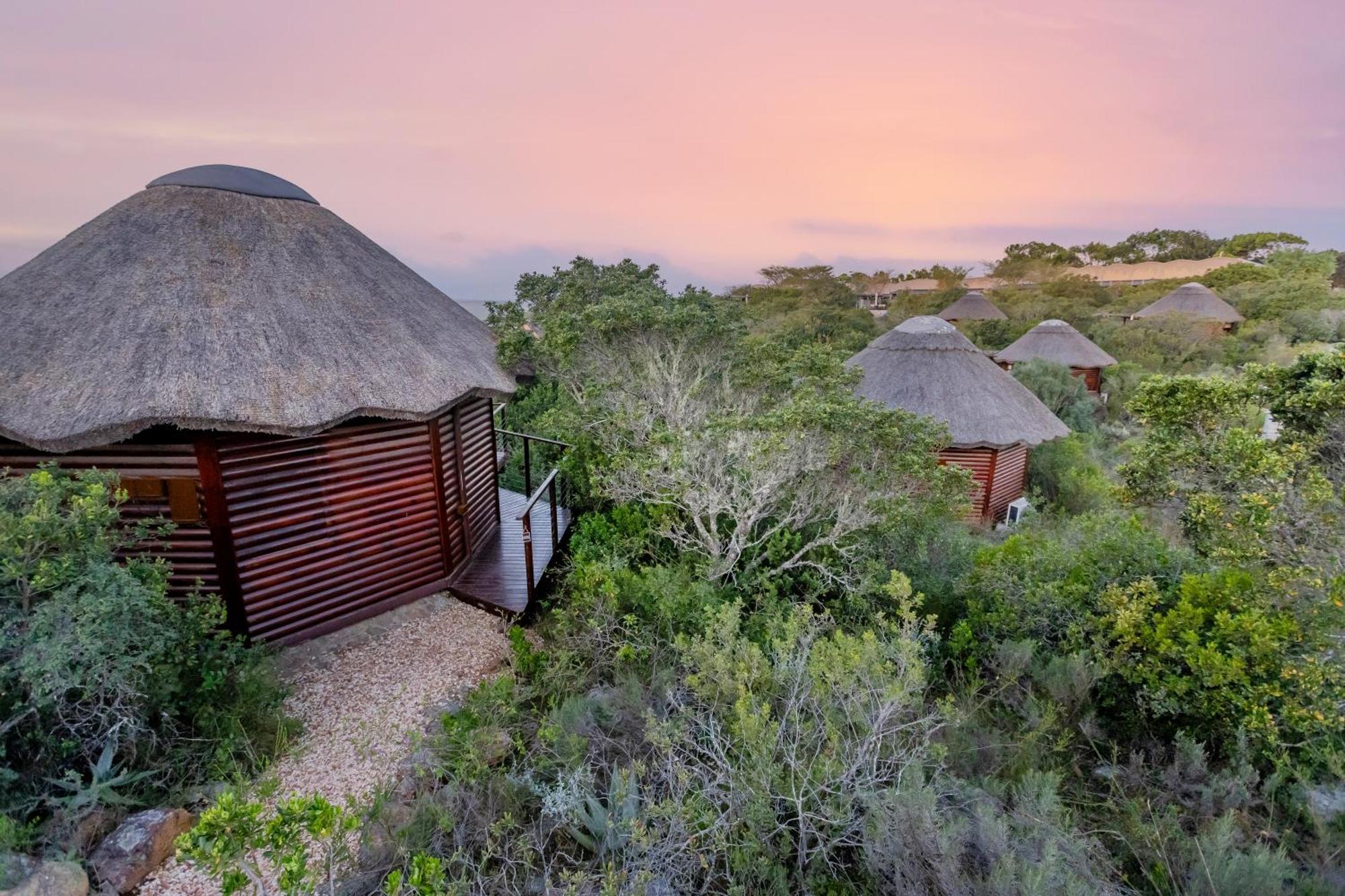 Garden Route Game Lodge Albertinia Esterno foto