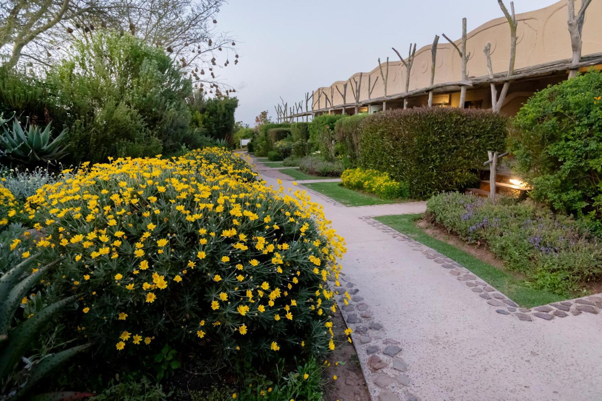 Garden Route Game Lodge Albertinia Esterno foto