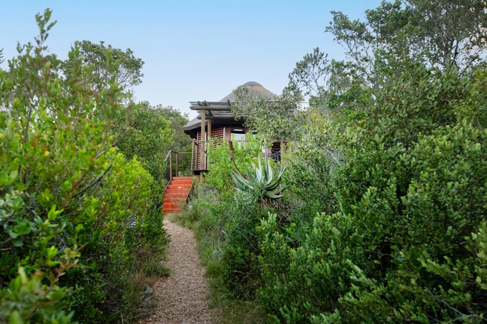 Garden Route Game Lodge Albertinia Esterno foto