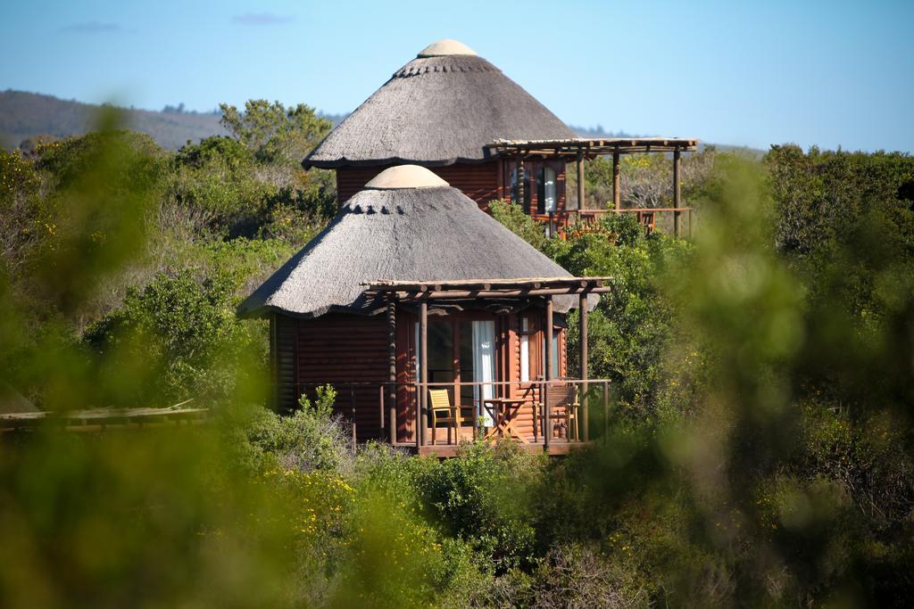 Garden Route Game Lodge Albertinia Esterno foto