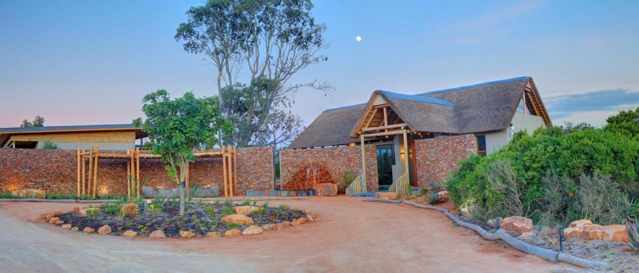 Garden Route Game Lodge Albertinia Esterno foto